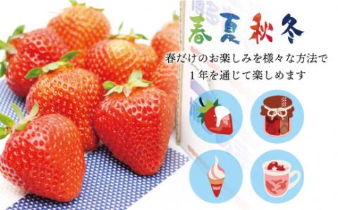 急速冷凍！人気のあまおう 冷凍いちご 大容量4kg【JAほたるの里】_KA1292