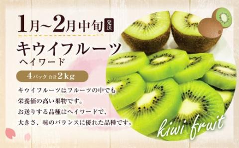 【定期便/年4回】ＪＡむなかた厳選！人気のフルーツ定期便【ほたるの里】_KB0140