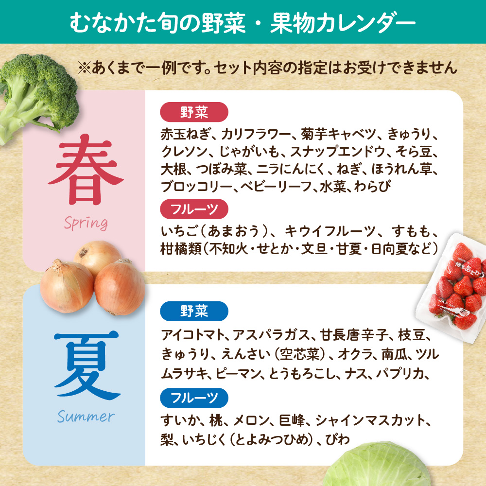 【9～11品】むなかた旬のお任せセット(野菜・フルーツ・お米)【JAほたるの里】_HA0263