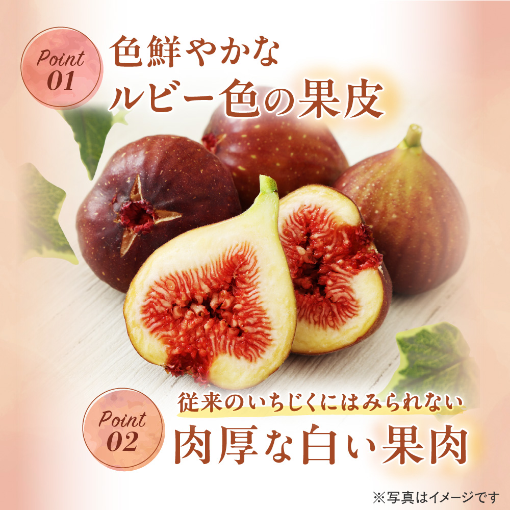 急速冷凍！福岡県特産品プレミアムいちじく「とよみつひめ」 冷凍いちじく 大容量2kg【JAほたるの里】_HA0279