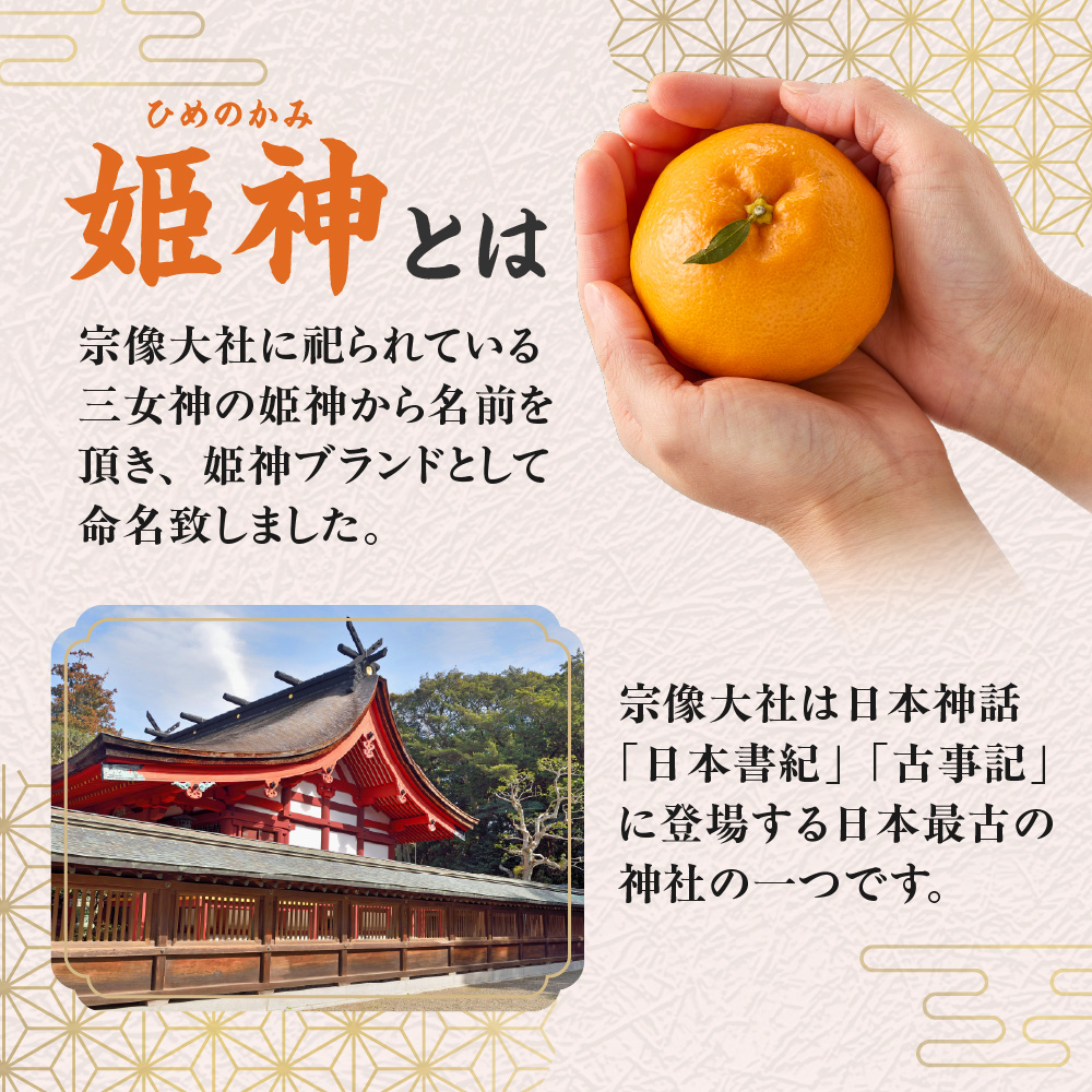 旬のミカンをお届け！JAむなかた柑橘ブランド「姫神」3kg 甘くておいしいみかん【2026年1月～4月上旬発送】【ほたるの里】_HA0281