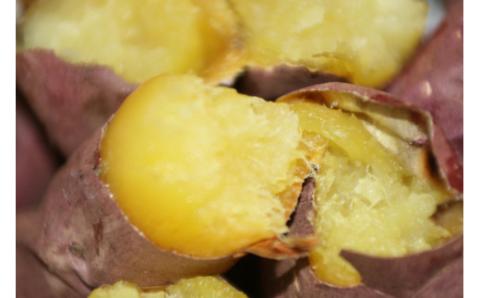 石焼きいも「紅はるか」 糖度40度以上 九州産さつまいも【八豊】_HA0492