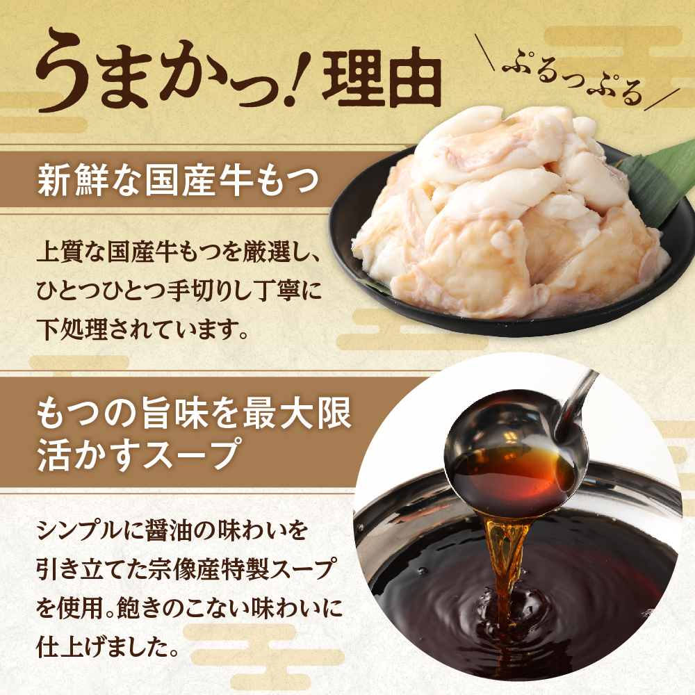 【国産もつ2倍 600g】博多もつ鍋　醤油味（3人前）セット【海千】_HA0588