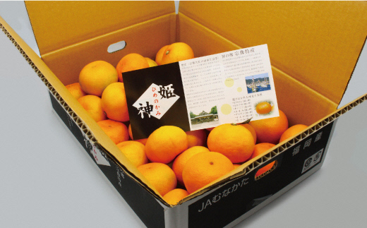 福岡県ブランド 極早生みかん「早味かん」3kg【JAほたるの里】_HA0886