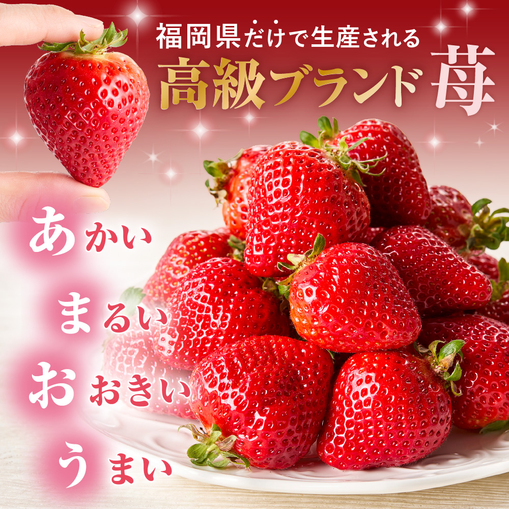 オーガニックあまおう 「いせいちご」 おまかせ4パック（大粒）【伊世いちご畑】_HA1019