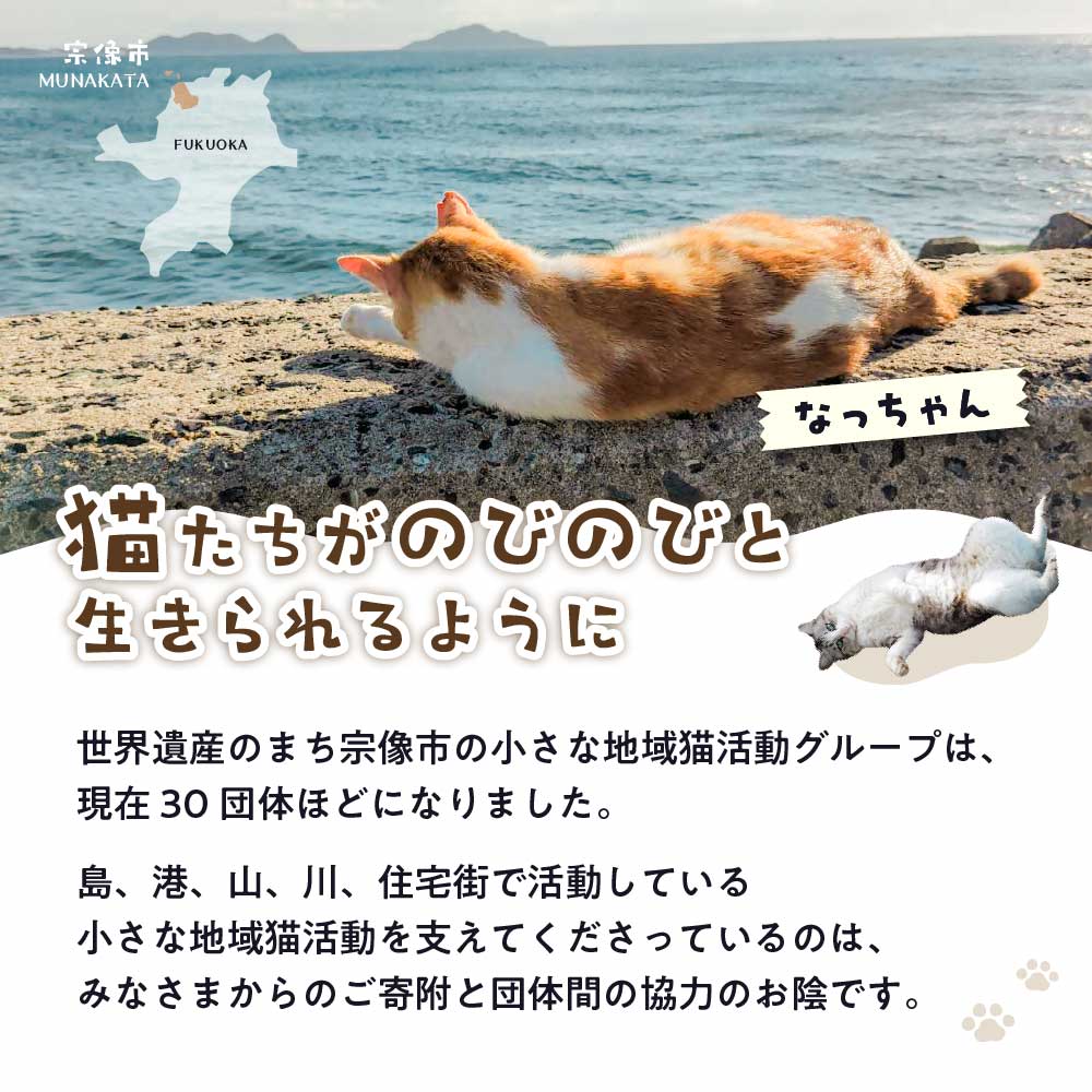 【返礼品なし】「「むな猫（旧：てくてくさくらねこ）」　地域猫活動支援【むな猫】_HA1118
