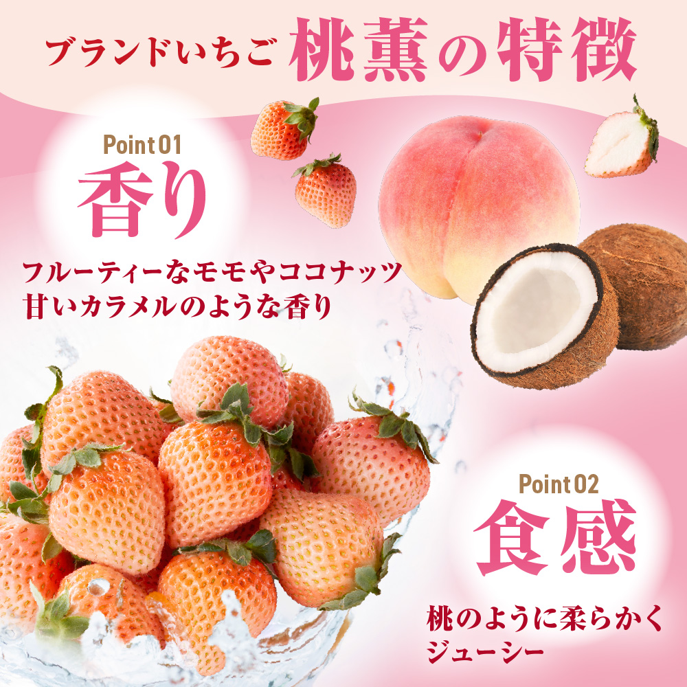 【先行予約】【2025年12月中旬より順次発送】福岡県産　桃薫　2パックセット【ナチュレッシュ・ファーム・ジェイピー】_HA1338