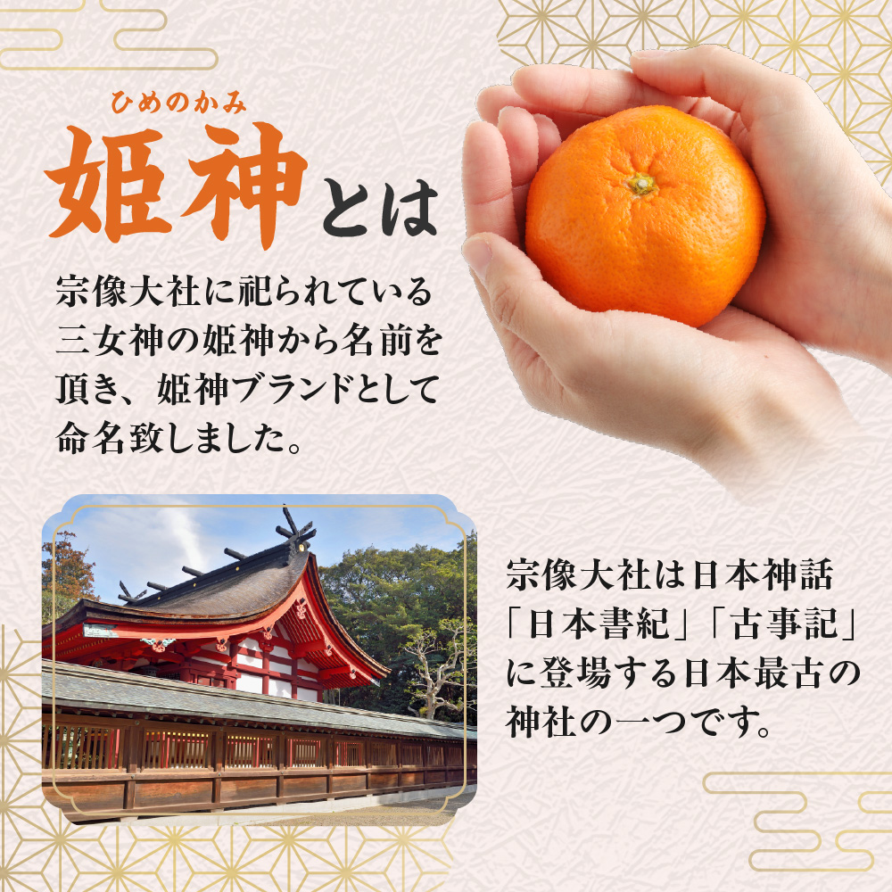 JAむなかたブランド「姫神」3kg 【2025年10月下旬～12月発送】【JAほたるの里】_HA1346