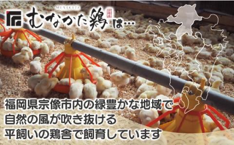宗像産ブランド鶏【むなかた鶏】モモ肉4kg（平飼い）【JAほたるの里】_HA1416