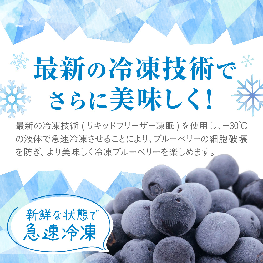 有機栽培・栽培期間中農薬不使用！急速冷凍ブルーベリー 1.2kg 【JAほたるの里】_HA1517