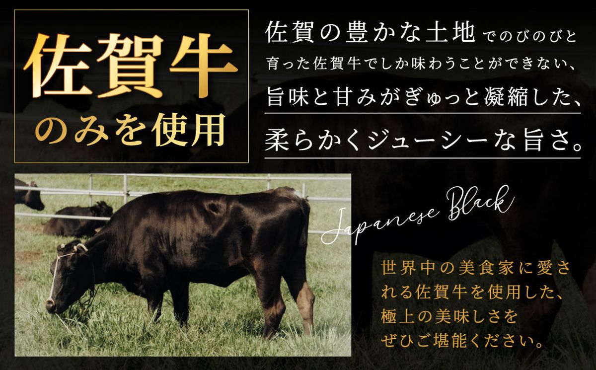 黒毛和牛100％ハンバーグ(約130g×4Pセット)【魚住商店】_HA1520