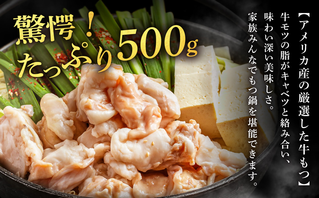 もつ増量500g 特製 塩もつ鍋 セット（2～3人前セット）【魚住商店】_HA1565