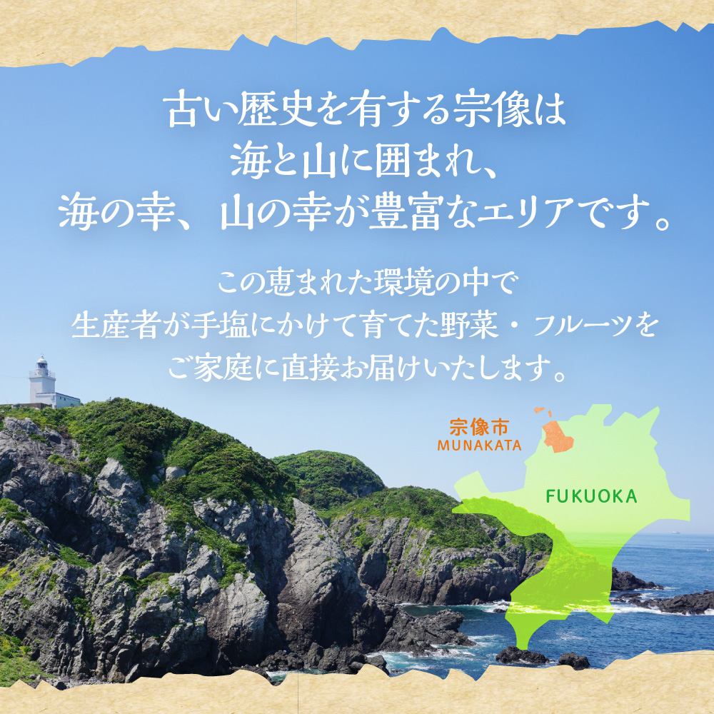 むなかた旬のお任せ セット(野菜・フルーツ)9～11品【JAほたるの里】_HA1570