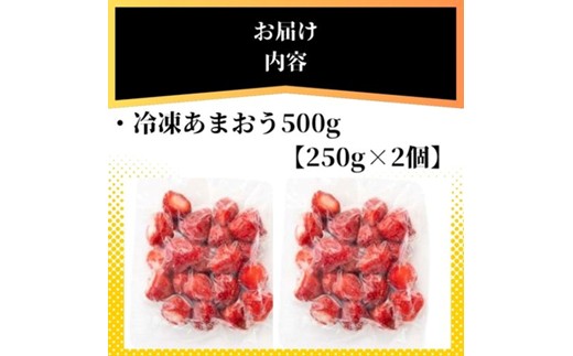 福岡県産 冷凍あまおう500g(250g×2個)【株式会社木村食品】_HA1739