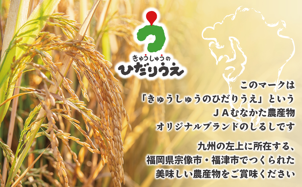 令和7年産 福岡県ブランド米「夢つくし」10kg【ほたるの里】_HA1791