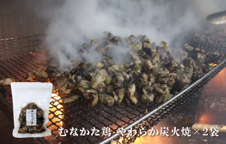 【道の駅むなかた】むなかた鶏シリーズ 鶏づくしセット（計1.3kg）_HA1837