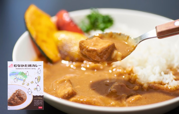 【道の駅むなかた】むなかた鶏カレー 定番メニューセット_HA1839