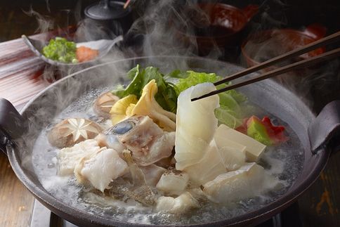 玄界灘産天然くえしゃぶ（2～3人前）【宗像漁業協同組合】_HA1930