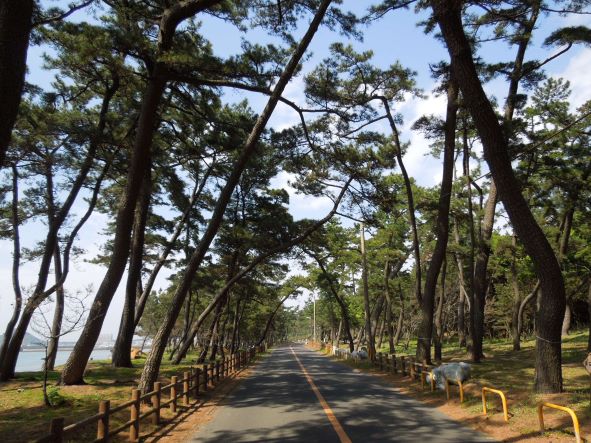 【東京宗像会・会員限定 】出前宗像満喫チケット_HA1951