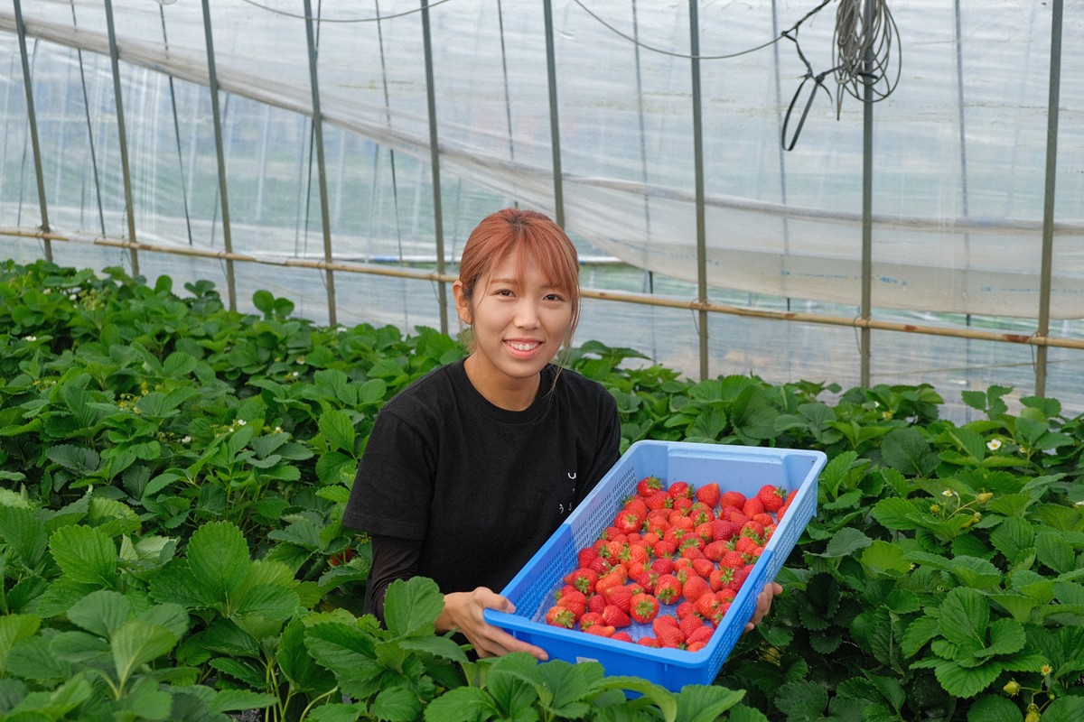 特別栽培あまおう4パック(サイズミックス)【うるう農園】_HA1968