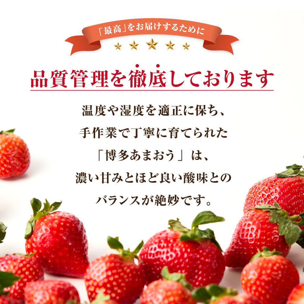 【定期便／3ヶ月連続お届け】アフター保証 大人気のあまおう 280g×4パック 計3回 総量3.36kg 3ヶ月定期便 福岡県産いちご【JAほたるの里】_HB0032