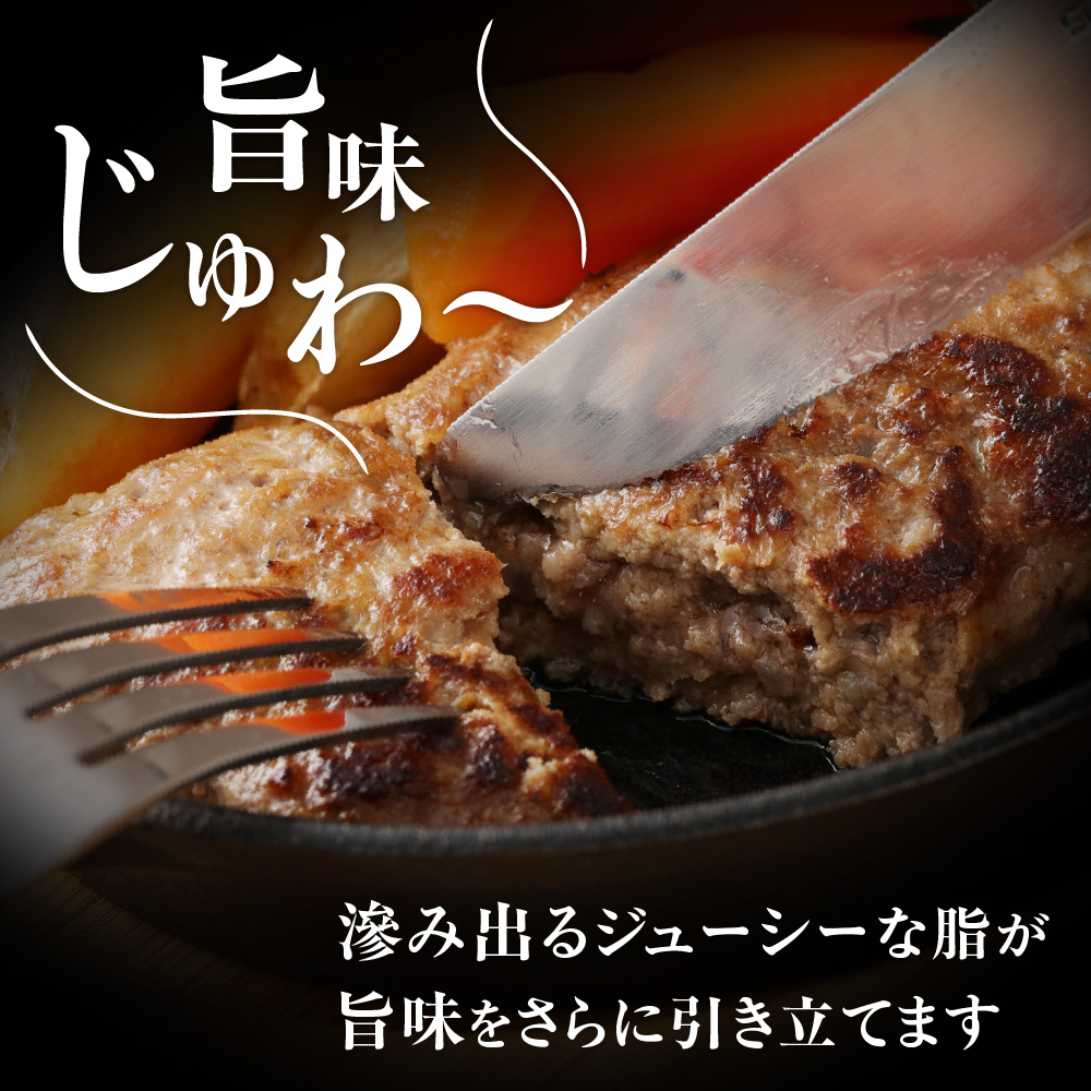 【定期便／年12回／毎月お届け】むなかた牛ハンバーグ6個セット 12ヶ月定期便【道の駅むなかた】_HB0037