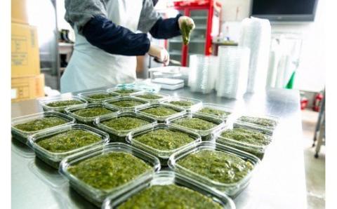 【定期便／年12回／毎月お届け】宗像のアカモク「あかもっくん」1040g(80g×13個)【マサエイ水産加工】_HB0049