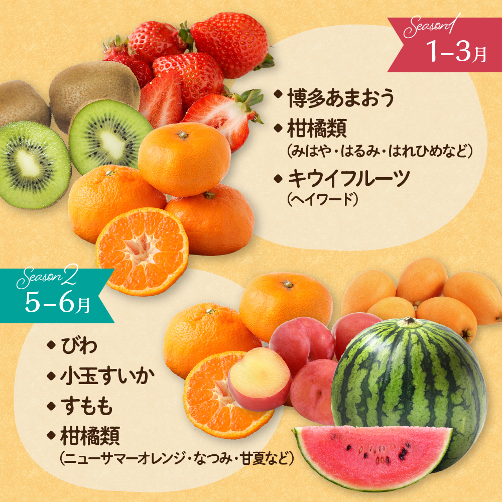 何が届くかお楽しみ！むなかた旬のフルーツ福袋定期便【年4回】【JAほたるの里】_HB0165