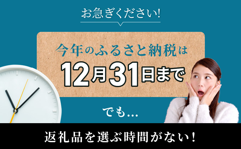 あとでゆっくり選べる！むなかた特産品40万円コース_HY0040