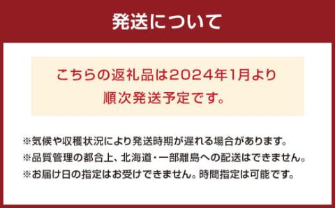 大粒セレクト！大人気のあまおう 280g×4パック【2024年1月～2月上旬お届け】【JAほたるの里】 _KA0274