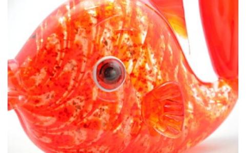 目で鯛　LA-83【粋工房 】_KA1162