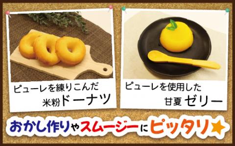 潮風甘夏ピューレ1kg(冷凍)【ほたるの里】_KA1031