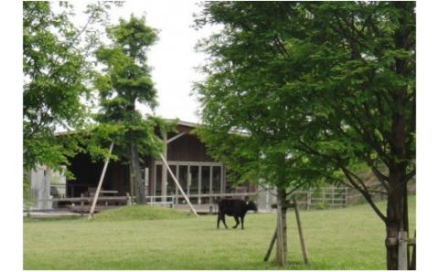 お米で育てたむなかた牛　赤身スライス500g・切落し500g（牧場直送）【すすき牧場】_KA0151
