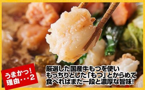 【もつ600g】博多もつ鍋　味噌味（3人前）セット【海千】_KA0587