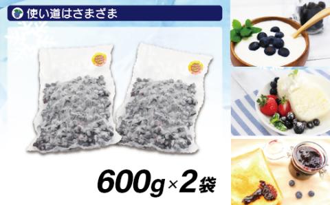 有機栽培・栽培期間中農薬不使用！急速冷凍ブルーベリー 1.2kg 【JAほたるの里】_KA0957