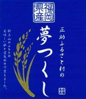【令和5年産】【真空包装】宗像市吉武産 「夢つくし」 10kg (5kg×2袋)  【正助ふるさと村】_KA1314