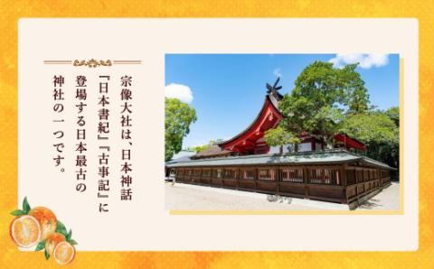 旬のミカンをお届け！JAむなかた柑橘ブランド「姫の神」3kg 甘くておいしいみかん【2024年1月～4月上旬発送】【ほたるの里】_KA0281