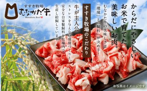 むなかた牛 ハンバーグ 150g×6個 計900g（L'HOTEL GREGE 総料理長監修 むなかたステーキソース付き）【すすき牧場】_KA0139