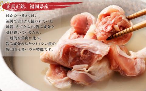 はかた一番どり 水炊きセット彩(いろどり)(2～3人前)【あらい】_KA0084