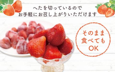 冷凍 博多あまおう 大容量 800g×2 計1.6kg【JAほたるの里】_KA0266