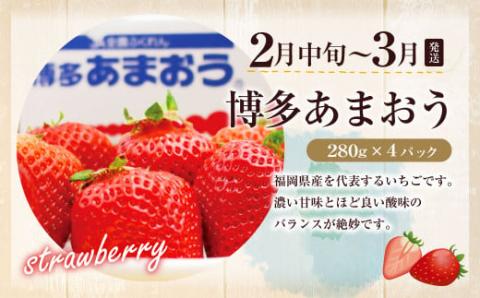 【定期便/年4回】ＪＡむなかた厳選！人気のフルーツ定期便【ほたるの里】_KB0140