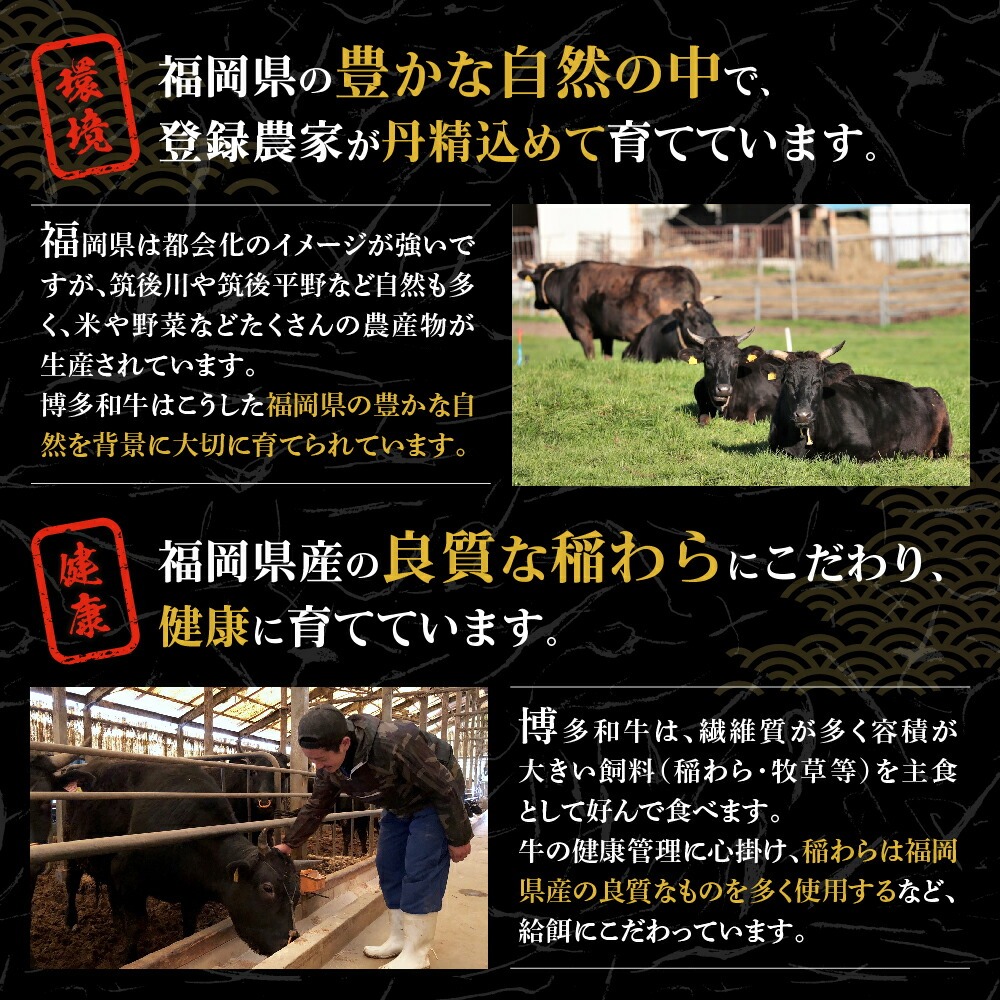 黒毛和牛 (博多和牛) ロースステーキ 100g×2枚【伊豆丸商店】_HA0221