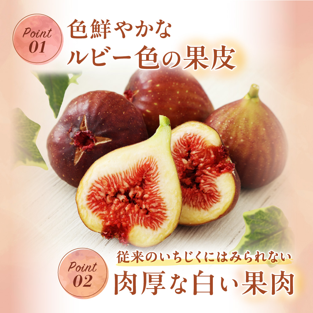 【寄附額改定！】プレミアムいちじく とよみつひめ　1.2kg【JAほたるの里】_HA0278