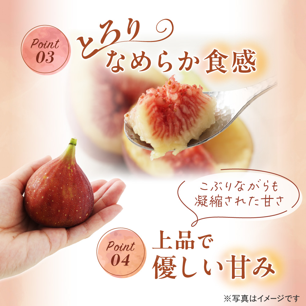 急速冷凍！福岡県特産品プレミアムいちじく「とよみつひめ」 冷凍いちじく 大容量2kg【JAほたるの里】_HA0279