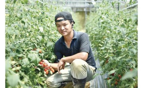 【2026年収穫分 受付スタート!】まるでフルーツ！「とMAX」ミニトマトアイコ(1kg)【とまとのまつお】_HA0375