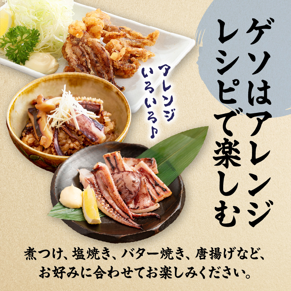 刺身用 新鮮ヤリイカ2杯セット(宗像鐘崎産)【マルケイ水産】_HA0416