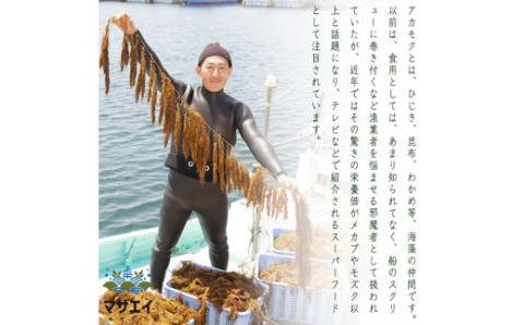 【翌営業日までに発送】宗像のアカモク「あかもっくん」400g(80g×5個)【マサエイ水産加工】_HA0440