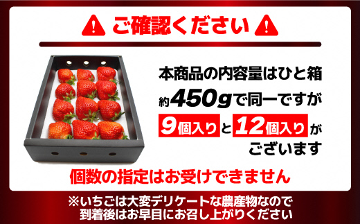 1月より順次発送！「博多あまおう」EX　贈答用化粧箱　約450g 1箱【ほたるの里】_HA0752