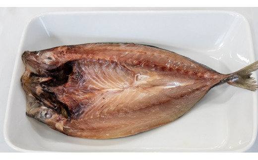 宗像特選　海産物セット【オアシス】_HA0774