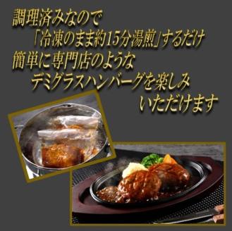 【湯煎で簡単調理】熟成ハンバーグ／特製デミソース　10個【宗像肉工房】_HA0990